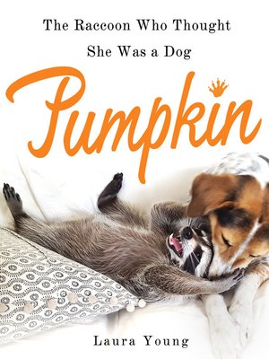 cover image of Pumpkin: The Raccoon Who Thought She Was a Dog